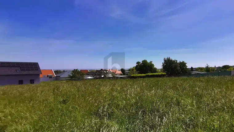 BLICK AUF DEN NEUSIEDLERSEE - ERHÖHTE RUHELAGE