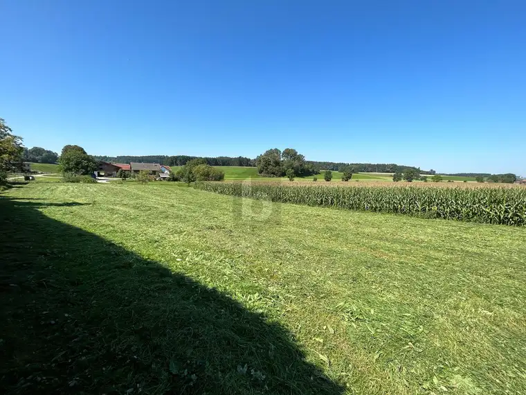 ZWEI ATTRAKTIVE BAUPLÄTZE IN IDYLLISCHER UND RUHIGER LAGE OHNE BAUZWANG