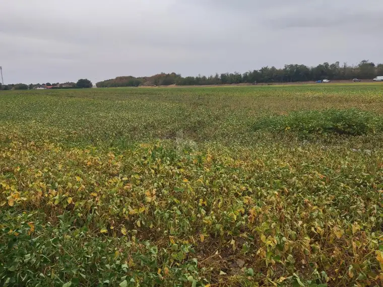 TOP-AGRARINVESTMENT: ERSTE-KLASSE ACKERFLÄCHE IN TIEFER LAGE IM MARCHFELD