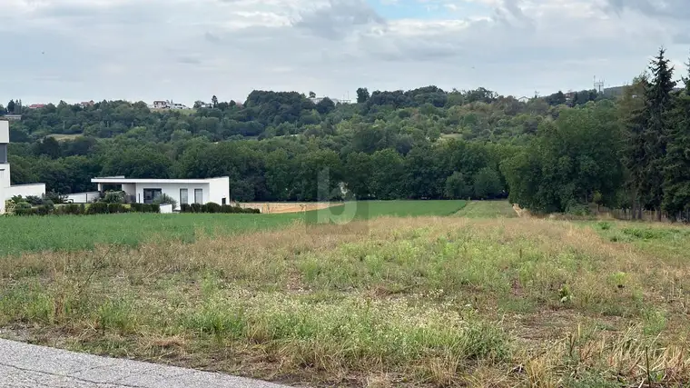 GRÜN-SIEDLUNGSLAGE IN BAHNHOFSNÄHE - OPTIMAL AUCH ALS ANLAGE