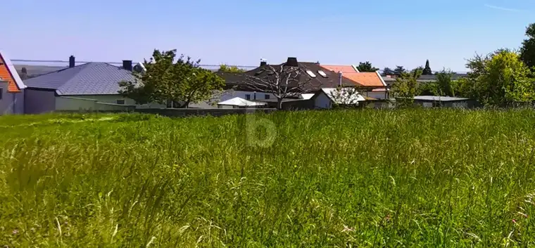 BLICK AUF DEN NEUSIEDLERSEE - ERHÖHTE RUHELAGE