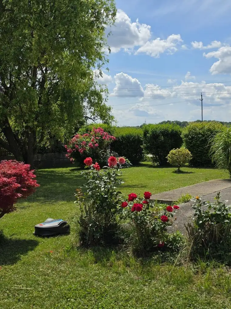 EXKLUSIVES NIEDRIGSTENERGIEHAUS: SMART-HOME, PREMIUM-AUSSTATTUNG &amp; 1.295 M² RUHELAGE
