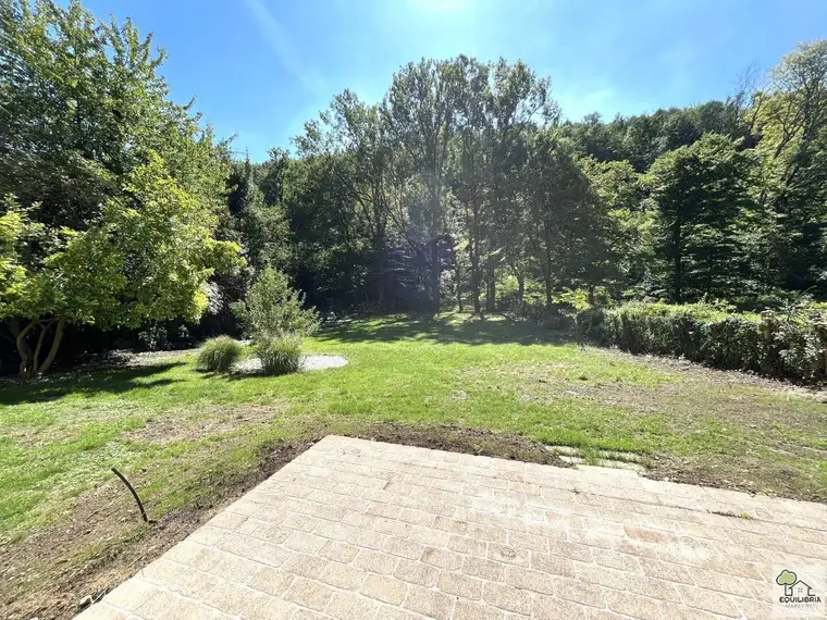 5 Zimmer, ca. 238m² Wohnfläche in Mietvilla in Weidling