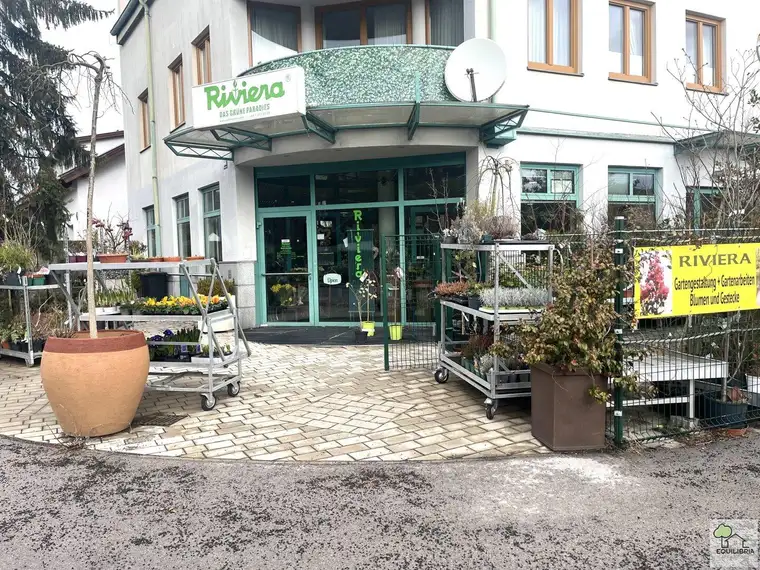 Perfektes Geschäftspotenzial: Geräumiges Einzelhandelslokal in Mauerbach, Niederösterreich
