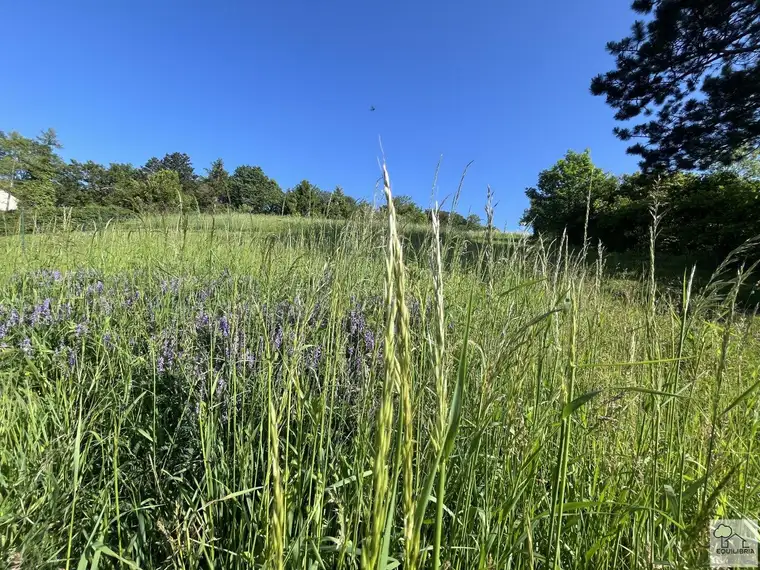 KLOSTERNEUBURG-WEIDLING - EXKLUSIVER VILLENBAUGRUND MIT BAUBEWILLIGUNG