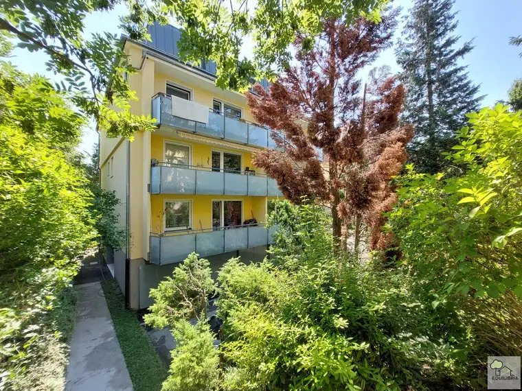 "Leben wie im Baumhaus"