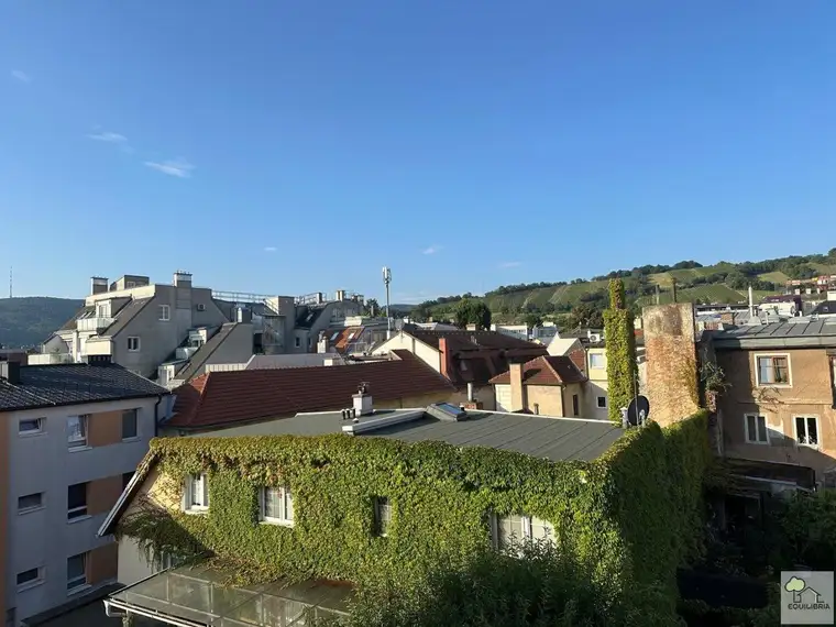 Charmante 2-Zimmer-Wohnung mit Loggia in Klosterneuburg – Ihr Sanierungsprojekt wartet!