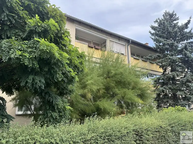 Renovierungsbedürftige 3-Zi-Wohnung Obere Stadt inkl. Stellplatz