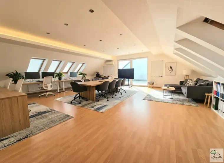 230m² BÜROFLÄCHE (od.KANZLEI od. PRAXIS) MIT 2 TERRASSEN--NETTOMIETE EUR 2800,- INKL. HEIZKOSTEN und BK
