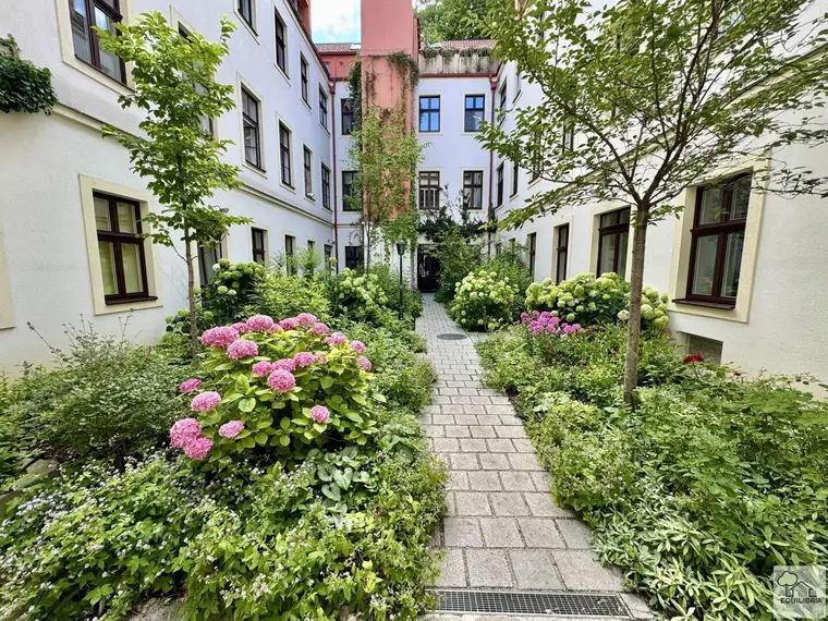 Wunderschöne Altbauwohnung in denkmalgeschütztem Haus nahe Schottentor