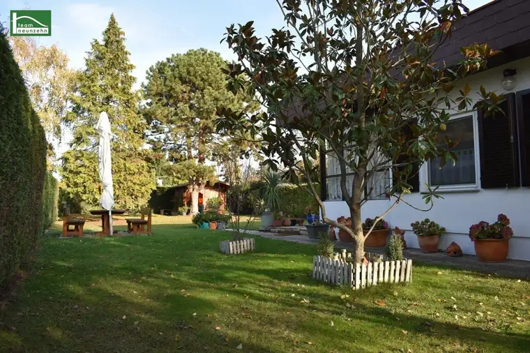Traumhaftes Bungalow in Trausdorf: 60m² Wohnfläche, Terrasse, Carport und mehr für nur 179.000,00 €!