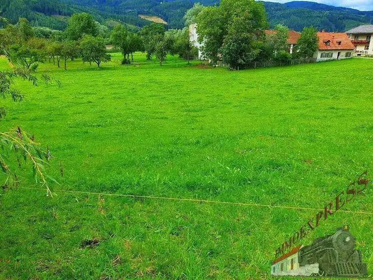 Bauträger und Investoren aufgepasst - 5.000 m² Baugrund