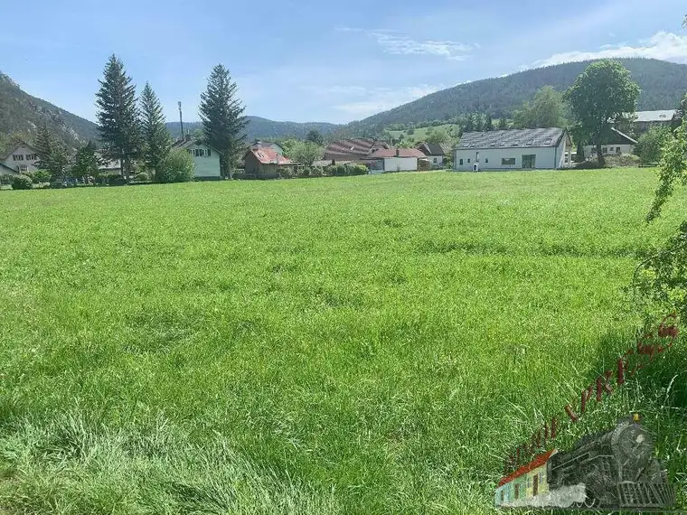 Bauträger und Investoren aufgepasst - 12.700 m² in Puchberg am Schneeberg