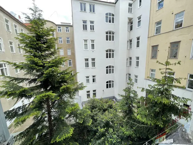 Traumwohnung zum Renovieren: Charmante 2,5-Zimmer Wohnung mit Balkon in 5. Bezirk, Wien, Hofseitig, Top Lage