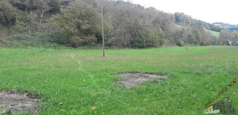 Ferienwohnsitz, Landwirtschaftliches Anwesen