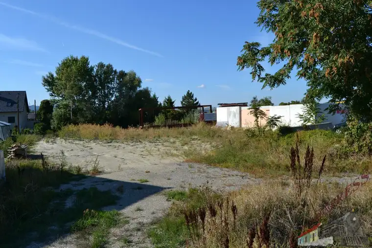 Gutes Bauträgergrundstück in Münchendorf mit Bauentwicklung auch für Privatkunden geeignet