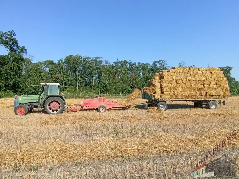 Ackerland in Lassee zum Verkauf