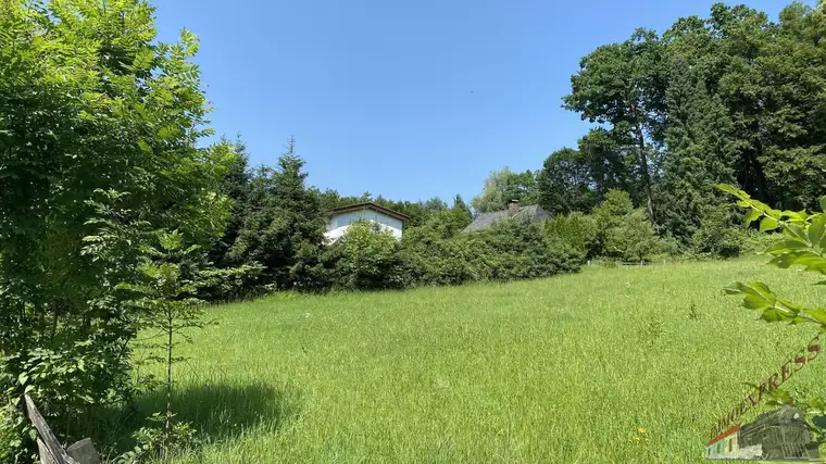 Stilvoller Bungalow in bevorzugter Lage - ganztags Sonne und Panonarama- Bergblick