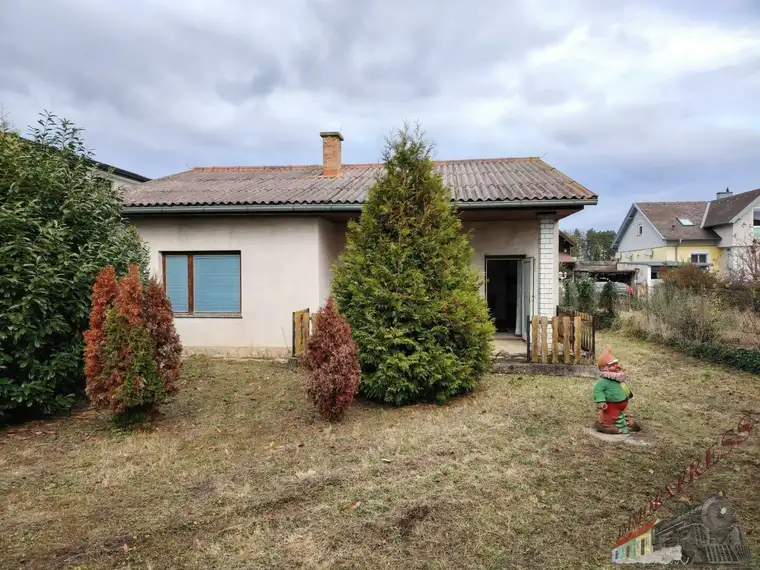 Helmut Schuster, Immoexpress KG