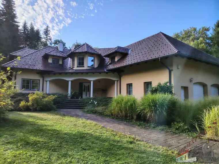 Tolle Villa mit neuer PV-Anlage bietet viel Platz und ruhige, grüne Umgebung – nur 38 min zur Stadtgrenze Wien!