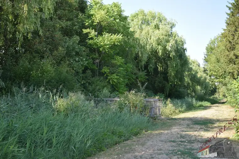 Margarethen am Moos - Großes Grundstück - Nahe Wien!