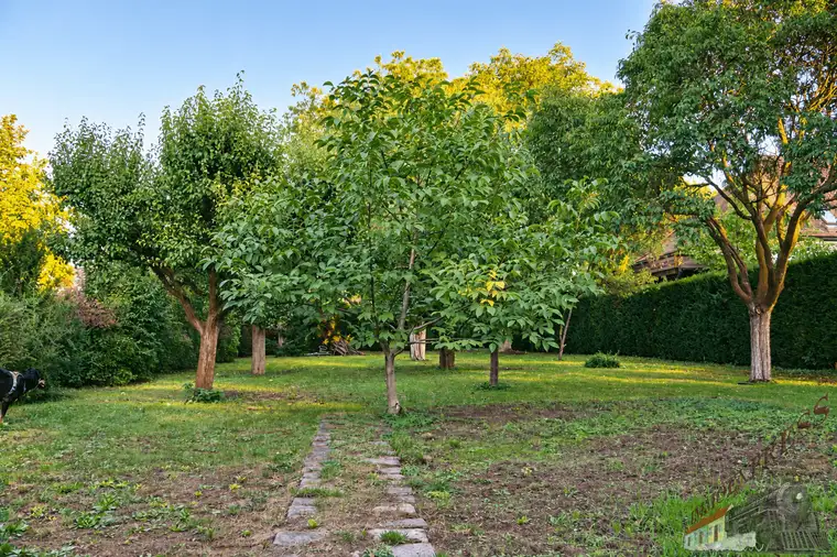 BAUGRUND MIT GARTENCHARAKTER – 781 m² IN WULLERSDORF