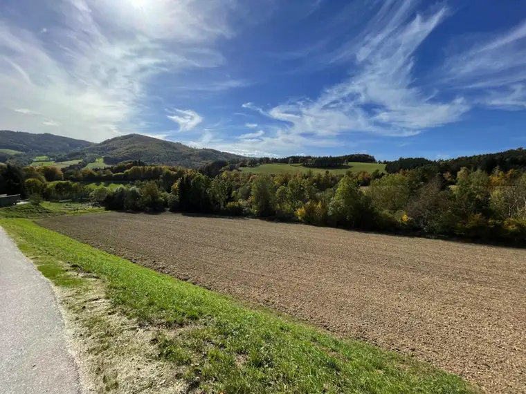 Bromberg - Bad Erlach-Nähe - neu parzellierte, sonnige Baugrundstücke in leichter Hanglage ab € 76.450,00!