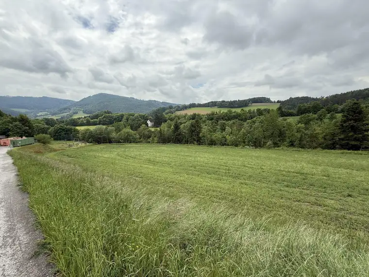 Bromberg - Bad Erlach-Nähe - neu parzellierte, sonnige Baugrundstücke in leichter Hanglage ab € 76.450,00!