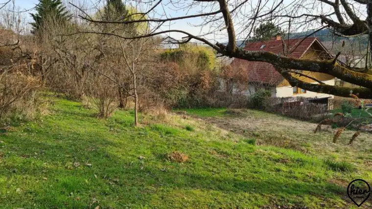 PROVISIONSFREI: Mantscha: Baugrund | Süd-West Lage 886/1047