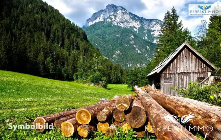 Wald- und Wiesengrundstücke in Arzl im Pitztal