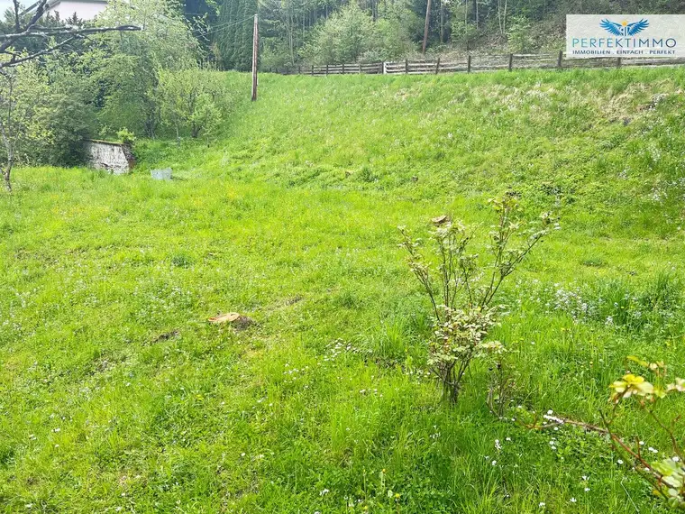 Großes Baugrundstück mit einmaliger Aussicht