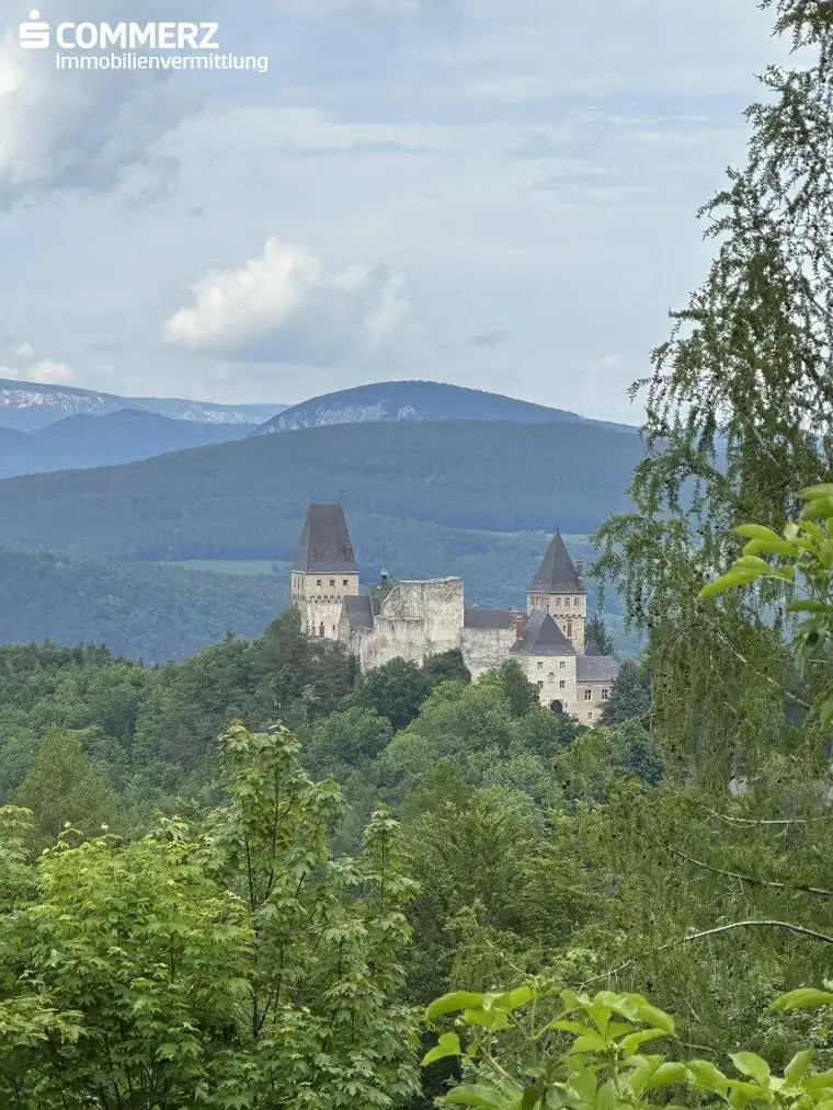 Rarität für Naturliebhaber