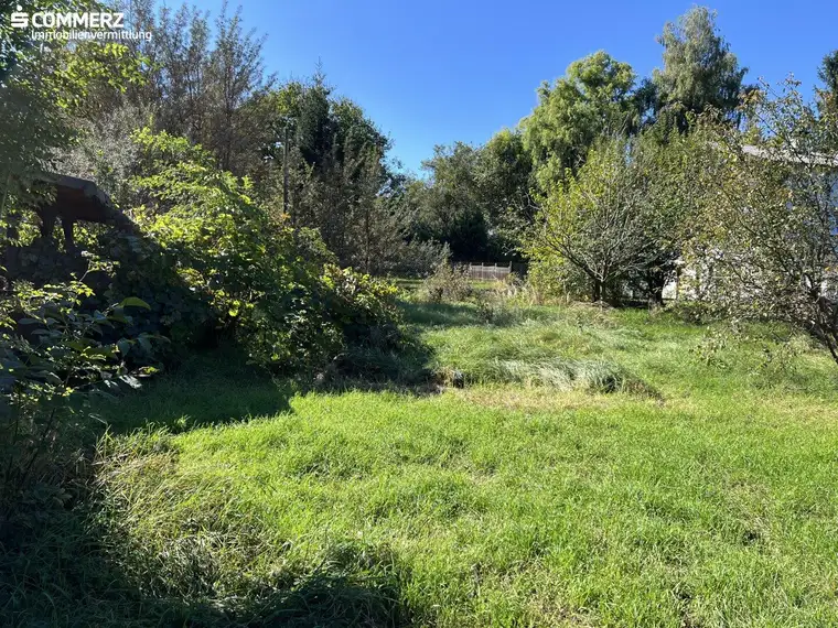 Grünblick in Pettenbach