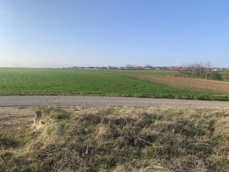 Leben mitten in der Natur!