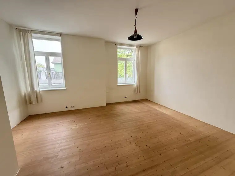Wohnen mit Oma, Katze und Hund 