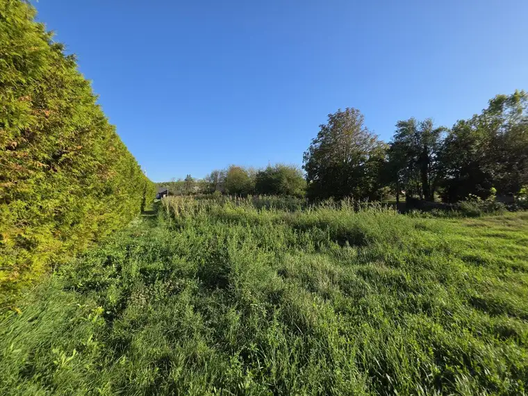 Ländliche Idylle mit Wien in Reichweite