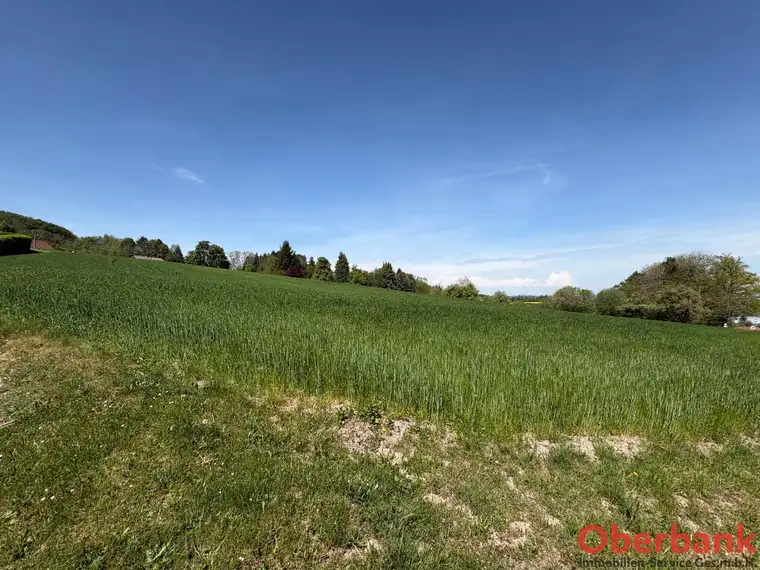 Baugrund in grüner Siedlungsrandlage