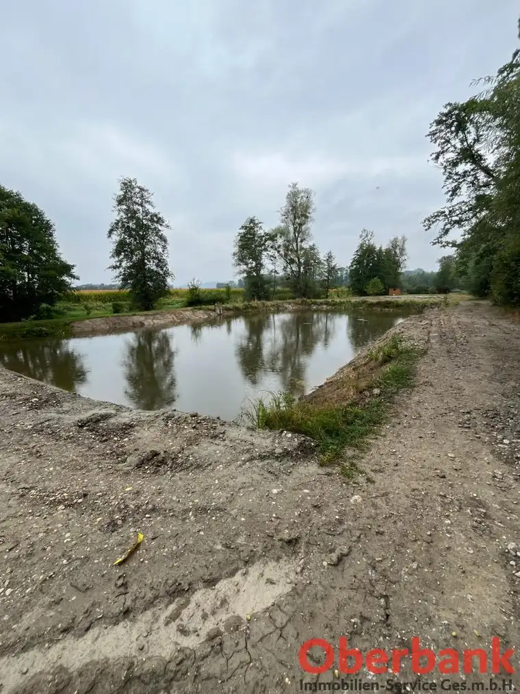 Fischteich 52x27 mit Fischerhütte