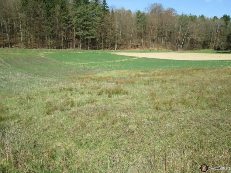 Jennersdorf: Zentrumsnaher Bauplatz in sonniger Ruhelage