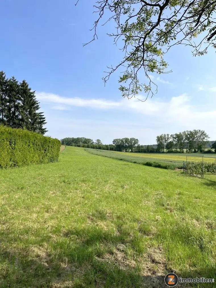 Litzelsdorf: Grundstück in Ruhelage ohne Bauzwang