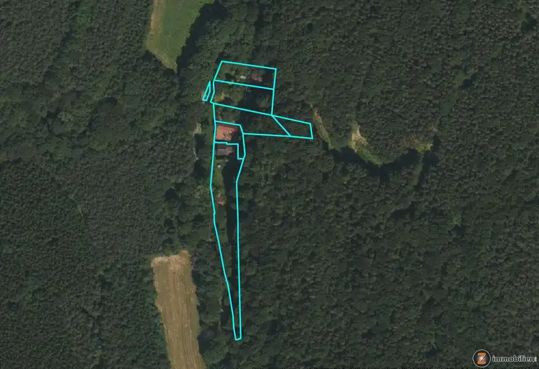 Baugrundstück in Alleinlage umgeben von Wald!
