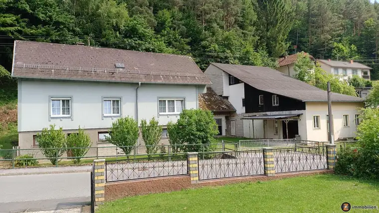 Einfamilienhaus mit Nebengebäude