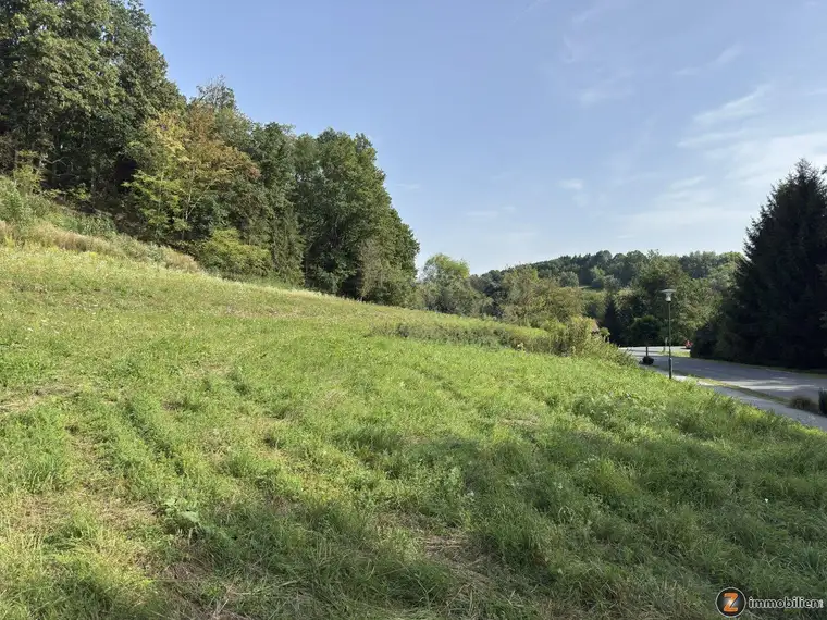 Stegersbach: Baugrundstück in direkter Nähe zu Golfplatz, Therme und Hotels