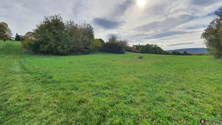 Großzügiges Baugrundstück mit optionalem Grünland in Mattersburg