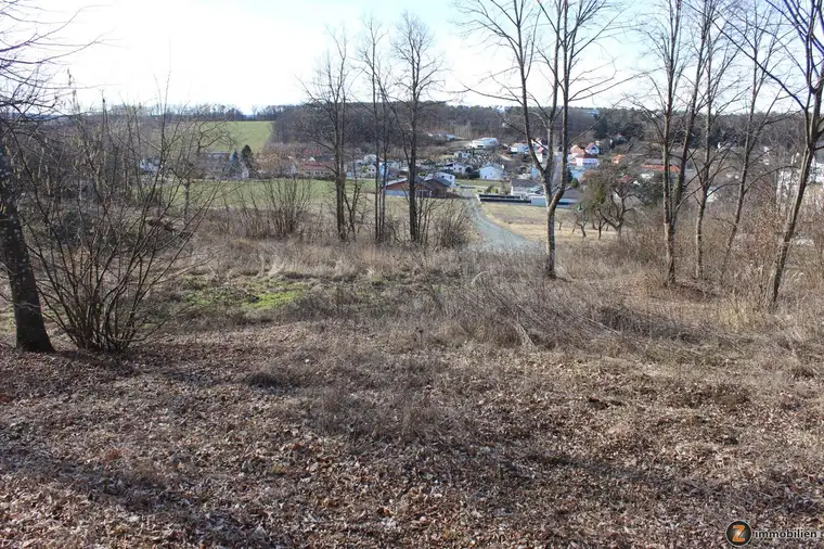 Bad Tatzmannsdorf: Baugrundstück in traumhafter Aussichtslage