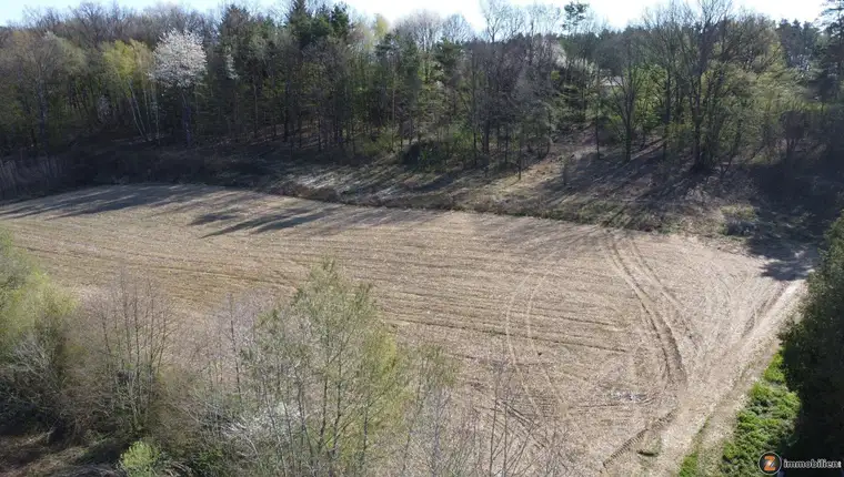 Baugrundstücke in Stegersbach – flexible Größen (EUR 39,- bis 55,-/m²)