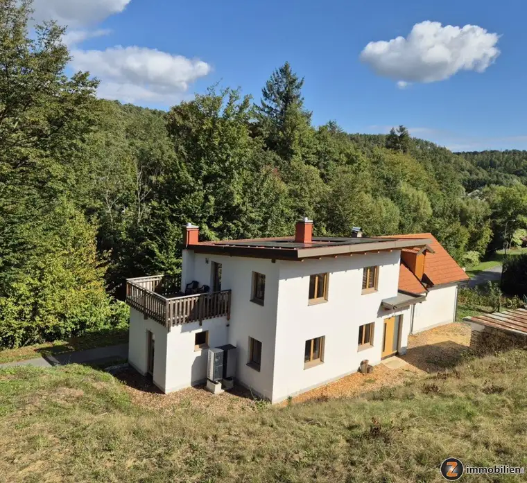 Moderner Landhaus Neubau mit PV-Anlage und Wärmepumpe in Ruhelage!