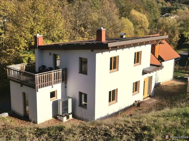 Moderner Landhaus Neubau mit PV-Anlage, Wärmepumpe und 3-fach Verglasung in Ruhelage!