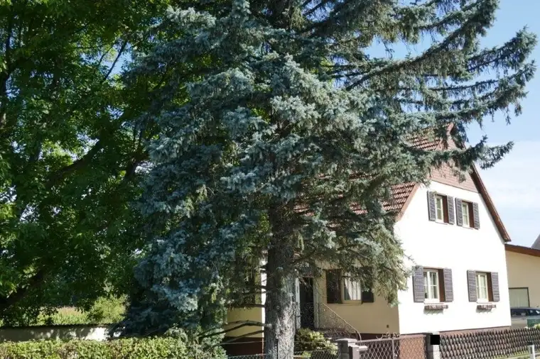 Wohnhaus mit Nebengebäude in Ortsrandlage in 2625 Schwarzau am Steinfeld