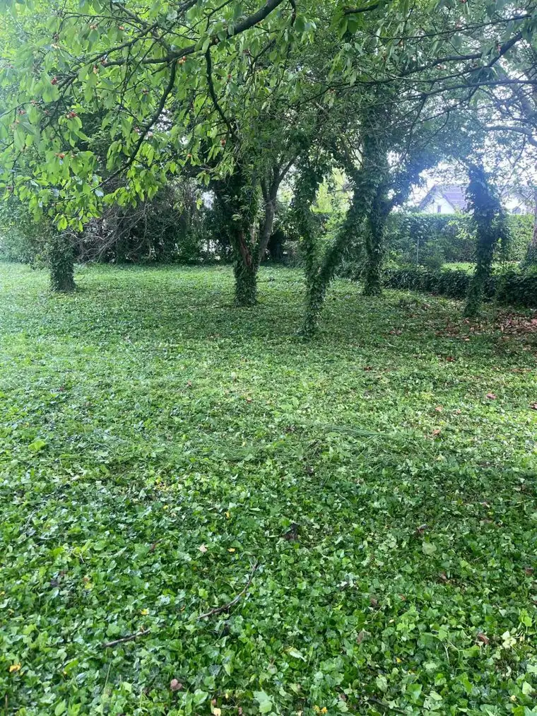 Grundstück in Ebreichsdorf zu verkaufen